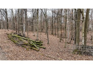 Property photo 14 - REAL ESTATE SEALED BID AUCTION OFFERED IN 1 TRACT IN CARROLL COUNTY INDIANA