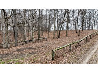 Property photo 13 - REAL ESTATE SEALED BID AUCTION OFFERED IN 1 TRACT IN CARROLL COUNTY INDIANA
