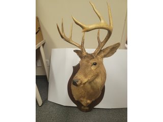 Property photo 261 - TIMED ONLINE ONLY AUCTION - FORT WAYNE, IN