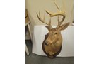 Property photo 261 - TIMED ONLINE ONLY AUCTION - FORT WAYNE, IN
