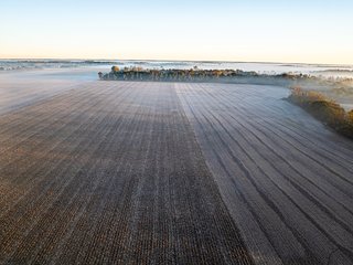 FARM 1 - TRACTS 2 & 3 - 85.25+/- ACRES OFFERED IN 7 TRACTS IN ALLEN COUNTY, INDIANA