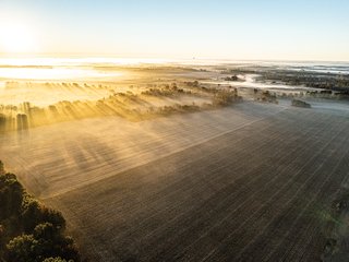 FARM 1 - TRACTS 2-4 - 85.25+/- ACRES OFFERED IN 7 TRACTS IN ALLEN COUNTY, INDIANA