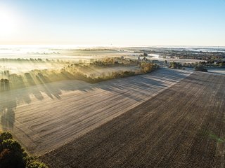 FARM 1 - TRACTS 3 & 4 - 85.25+/- ACRES OFFERED IN 7 TRACTS IN ALLEN COUNTY, INDIANA
