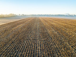 FARM 1 - TRACT 2 - 85.25+/- ACRES OFFERED IN 7 TRACTS IN ALLEN COUNTY, INDIANA