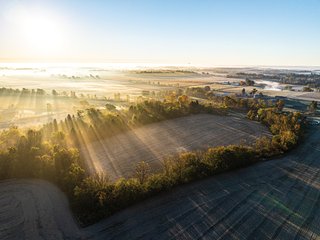 FARM 1 - TRACT 4 - 85.25+/- ACRES OFFERED IN 7 TRACTS IN ALLEN COUNTY, INDIANA