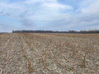 Property photo 37 - 85.25+/- ACRES OFFERED IN 7 TRACTS IN ALLEN COUNTY, INDIANA
