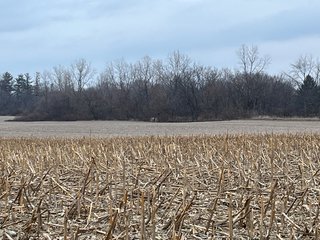 Property photo 36 - 85.25+/- ACRES OFFERED IN 7 TRACTS IN ALLEN COUNTY, INDIANA