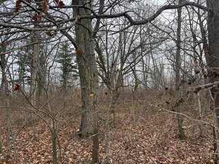 Property photo 42 - 85.25+/- ACRES OFFERED IN 7 TRACTS IN ALLEN COUNTY, INDIANA