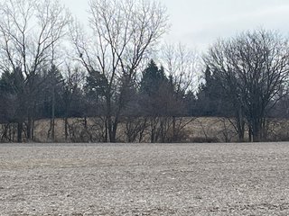 Property photo 41 - 85.25+/- ACRES OFFERED IN 7 TRACTS IN ALLEN COUNTY, INDIANA