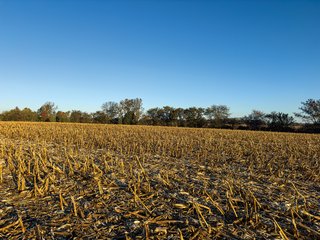 Property photo 27 - 85.25+/- ACRES OFFERED IN 7 TRACTS IN ALLEN COUNTY, INDIANA