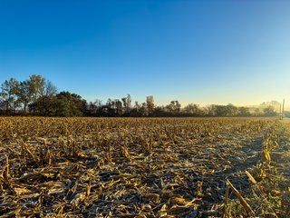 Property photo 26 - 85.25+/- ACRES OFFERED IN 7 TRACTS IN ALLEN COUNTY, INDIANA