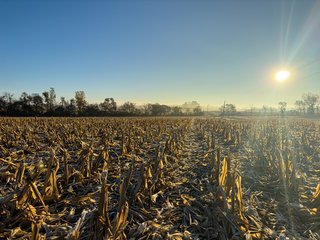 Property photo 24 - 85.25+/- ACRES OFFERED IN 7 TRACTS IN ALLEN COUNTY, INDIANA