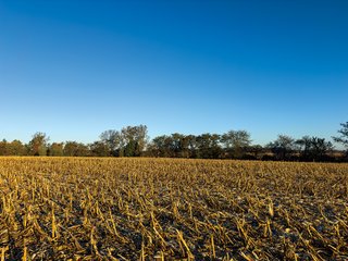 Property photo 25 - 85.25+/- ACRES OFFERED IN 7 TRACTS IN ALLEN COUNTY, INDIANA