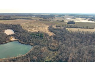 Property photo 4 - LAND AUCTION - 155.87+/- ACRES OFFERED IN 4 TRACTS IN PETERSBURG, IN