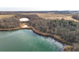 Property photo 5 - LAND AUCTION - 155.87+/- ACRES OFFERED IN 4 TRACTS IN PETERSBURG, IN
