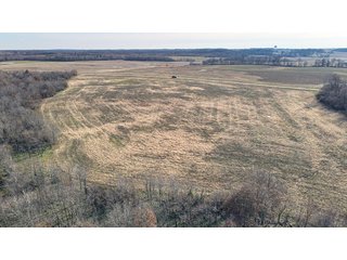 Property photo 6 - LAND AUCTION - 155.87+/- ACRES OFFERED IN 4 TRACTS IN PETERSBURG, IN