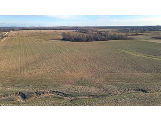 Property photo 8 - LAND AUCTION - 155.87+/- ACRES OFFERED IN 4 TRACTS IN PETERSBURG, IN