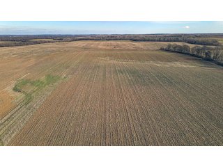 Property photo 9 - LAND AUCTION - 155.87+/- ACRES OFFERED IN 4 TRACTS IN PETERSBURG, IN