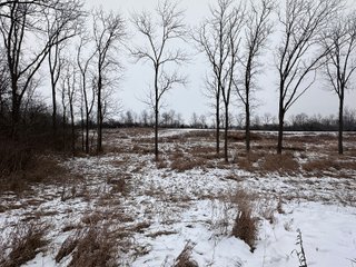Property photo 55 - 63+/- ACRES AUCTION OFFERED IN 4 TRACTS IN HUNTINGTON COUNTY INDIANA