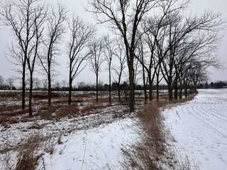 Property photo 54 - 63+/- ACRES AUCTION OFFERED IN 4 TRACTS IN HUNTINGTON COUNTY INDIANA