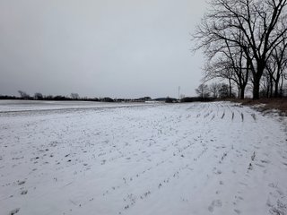Property photo 52 - 63+/- ACRES AUCTION OFFERED IN 4 TRACTS IN HUNTINGTON COUNTY INDIANA