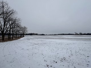 Property photo 50 - 63+/- ACRES AUCTION OFFERED IN 4 TRACTS IN HUNTINGTON COUNTY INDIANA