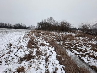 Property photo 49 - 63+/- ACRES AUCTION OFFERED IN 4 TRACTS IN HUNTINGTON COUNTY INDIANA