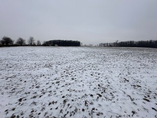 Property photo 87 - 63+/- ACRES AUCTION OFFERED IN 4 TRACTS IN HUNTINGTON COUNTY INDIANA