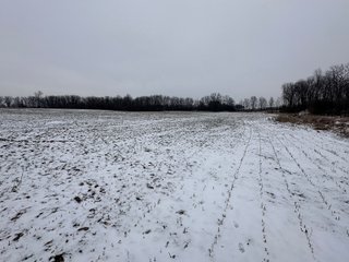 Property photo 85 - 63+/- ACRES AUCTION OFFERED IN 4 TRACTS IN HUNTINGTON COUNTY INDIANA