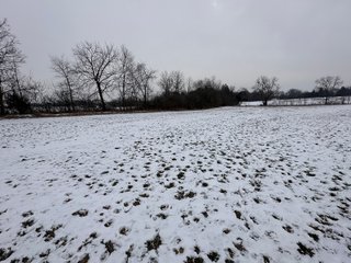 Property photo 67 - 63+/- ACRES AUCTION OFFERED IN 4 TRACTS IN HUNTINGTON COUNTY INDIANA