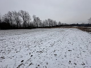 Property photo 76 - 63+/- ACRES AUCTION OFFERED IN 4 TRACTS IN HUNTINGTON COUNTY INDIANA