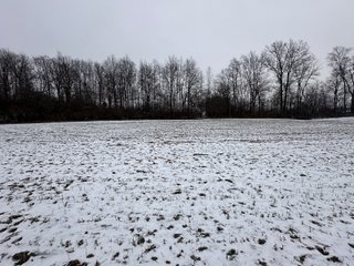 Property photo 2 - 63+/- ACRES AUCTION OFFERED IN 4 TRACTS IN HUNTINGTON COUNTY INDIANA