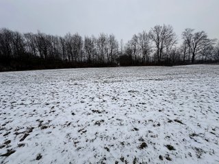 Property photo 71 - 63+/- ACRES AUCTION OFFERED IN 4 TRACTS IN HUNTINGTON COUNTY INDIANA