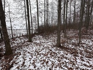 Property photo 68 - 63+/- ACRES AUCTION OFFERED IN 4 TRACTS IN HUNTINGTON COUNTY INDIANA