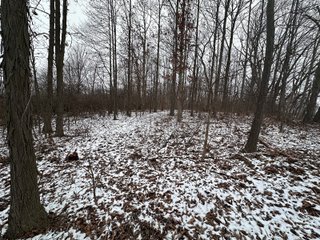 Property photo 21 - 63+/- ACRES AUCTION OFFERED IN 4 TRACTS IN HUNTINGTON COUNTY INDIANA