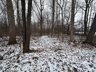 Property photo 16 - 63+/- ACRES AUCTION OFFERED IN 4 TRACTS IN HUNTINGTON COUNTY INDIANA