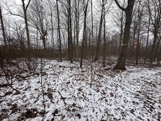 Property photo 15 - 63+/- ACRES AUCTION OFFERED IN 4 TRACTS IN HUNTINGTON COUNTY INDIANA