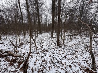 Property photo 24 - 63+/- ACRES AUCTION OFFERED IN 4 TRACTS IN HUNTINGTON COUNTY INDIANA