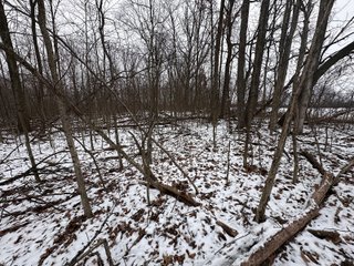 Property photo 23 - 63+/- ACRES AUCTION OFFERED IN 4 TRACTS IN HUNTINGTON COUNTY INDIANA
