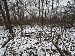 Property photo 22 - 63+/- ACRES AUCTION OFFERED IN 4 TRACTS IN HUNTINGTON COUNTY INDIANA