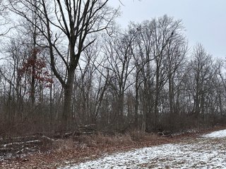 Property photo 20 - 63+/- ACRES AUCTION OFFERED IN 4 TRACTS IN HUNTINGTON COUNTY INDIANA