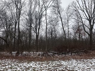 Property photo 19 - 63+/- ACRES AUCTION OFFERED IN 4 TRACTS IN HUNTINGTON COUNTY INDIANA