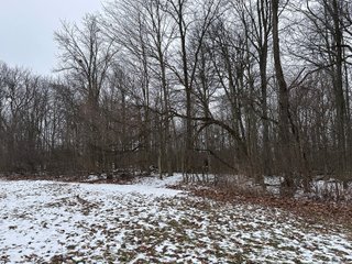 Property photo 18 - 63+/- ACRES AUCTION OFFERED IN 4 TRACTS IN HUNTINGTON COUNTY INDIANA