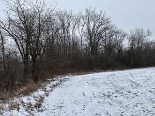 Property photo 10 - 63+/- ACRES AUCTION OFFERED IN 4 TRACTS IN HUNTINGTON COUNTY INDIANA