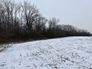 Property photo 9 - 63+/- ACRES AUCTION OFFERED IN 4 TRACTS IN HUNTINGTON COUNTY INDIANA