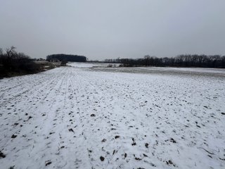 Property photo 6 - 63+/- ACRES AUCTION OFFERED IN 4 TRACTS IN HUNTINGTON COUNTY INDIANA