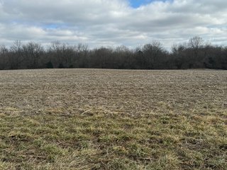 Property photo 4 - 190+/- Acres Offered in 8 Tracts in Wayne County Indiana