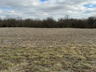 Property photo 7 - 190+/- Acres Offered in 8 Tracts in Wayne County Indiana