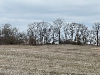 Property photo 9 - 190+/- Acres Offered in 8 Tracts in Wayne County Indiana