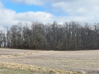Property photo 12 - 190+/- Acres Offered in 8 Tracts in Wayne County Indiana